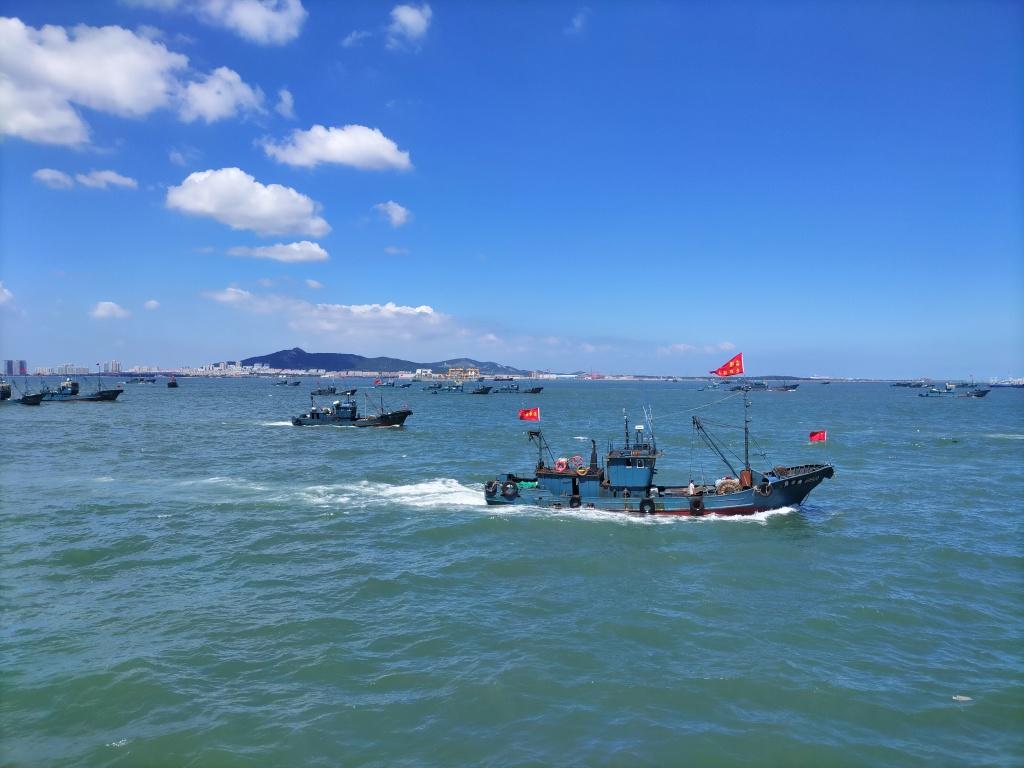 从“讨海”到“耕海”，山东将“一片海”做成一条千亿级产业链