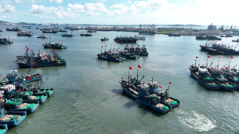 从“讨海”到“耕海”，山东将“一片海”做成一条千亿级产业链