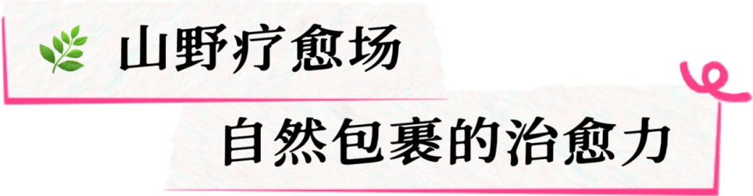 微信图片_20250901151940_484_714.png