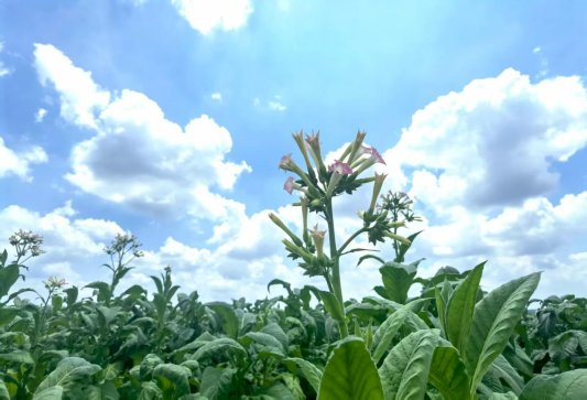 a31fb0e48b0a70ea857ef90897a087a8