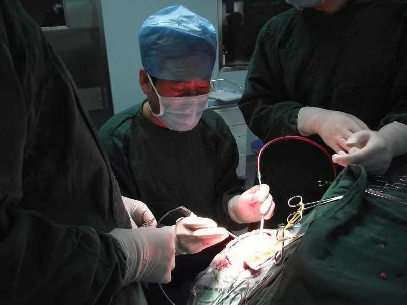 菏泽市牡丹人民医院神经外科主任李波:“医”心为民 守护“生命禁区”