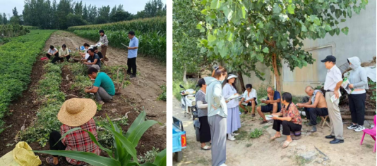 fb61e4af-7bcc-4683-bebb-577732ff3cd7