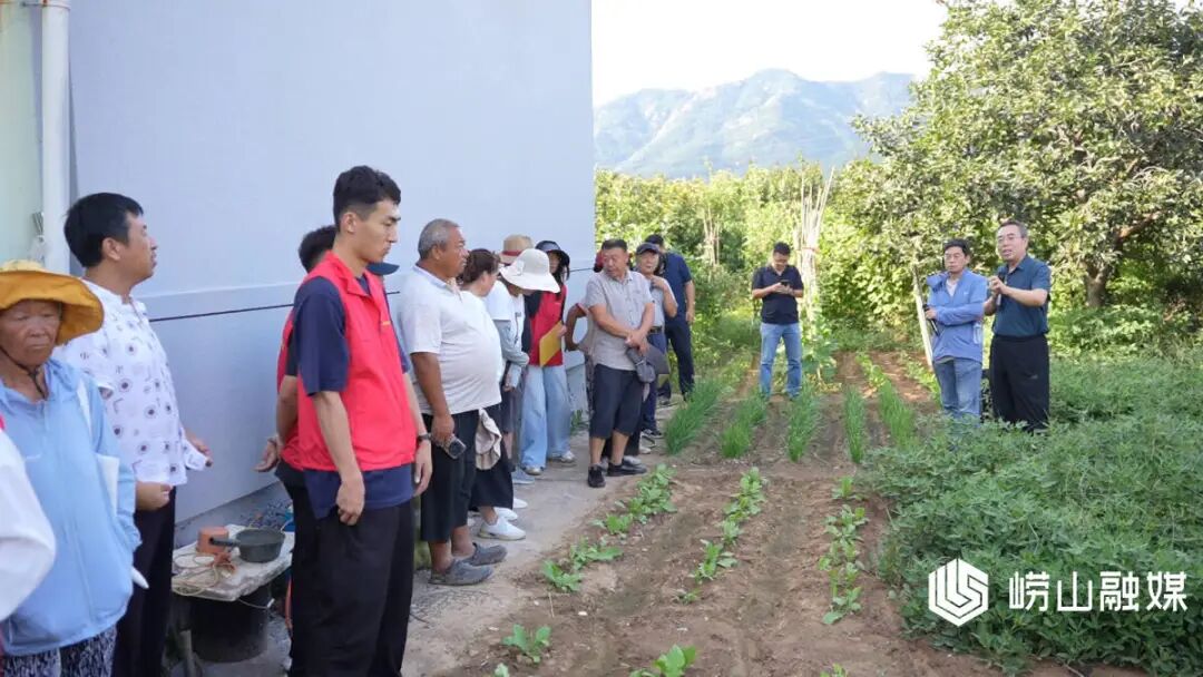 擦亮文明窗口|崂山区:农技培训赋能农业产业提质增效