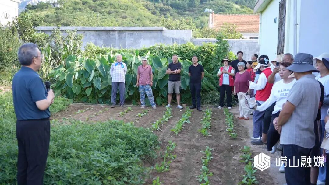 擦亮文明窗口|崂山区:农技培训赋能农业产业提质增效