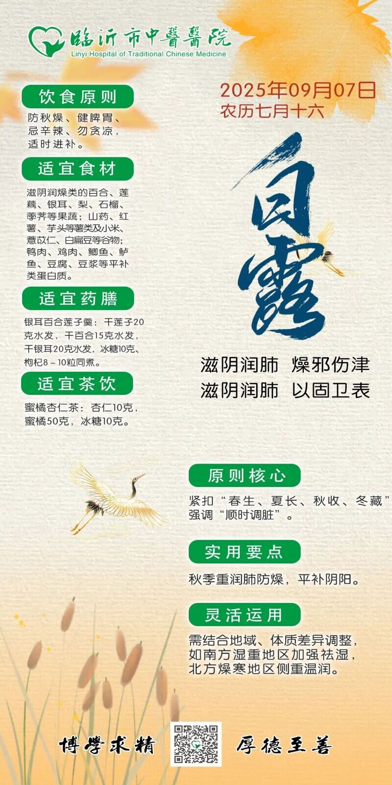 【临中医二十四节气养生锦囊】秋意浓,白露到!防燥、保暖、安神的养生秘诀,一文讲透