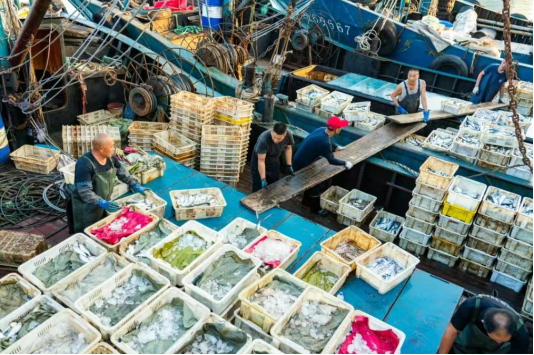 开海囤鲜不将就,澳柯玛大容量变频冷柜一步到位
