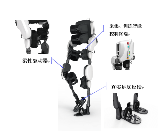 多学科青年团队创新研发农业外骨骼,乔鹏嘉带领TerraStride突破传统农耕局限