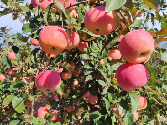 67d49bab96faf6d58f257b78ac813eb3