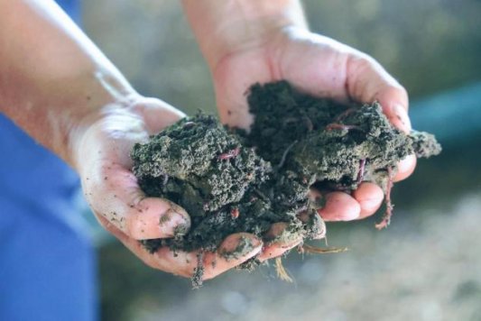 /Users/qilin/Library/Containers/com.kingsoft.wpsoffice.mac/Data/tmp/picturecompress_20250912110254/output_1.jpgoutput_1