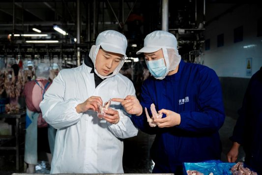 生产车间查看产品质量