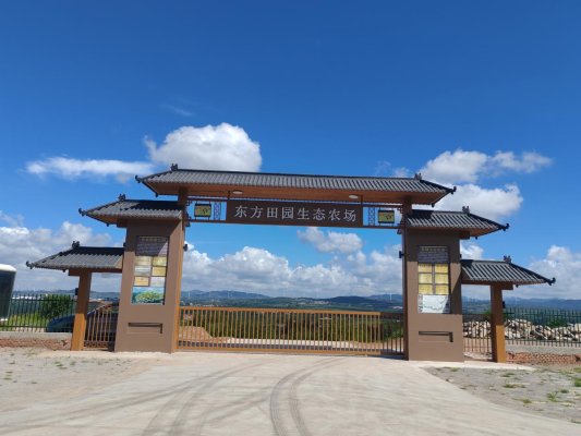 49b80af5c392912c504380d71bc33efb