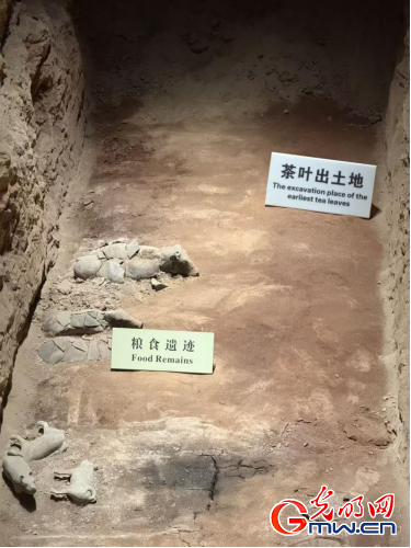 数智文遗陕西行丨从汉室陵阙看昔日文景盛世 数智文遗陕西行丨从汉室陵阙看昔日文景盛世