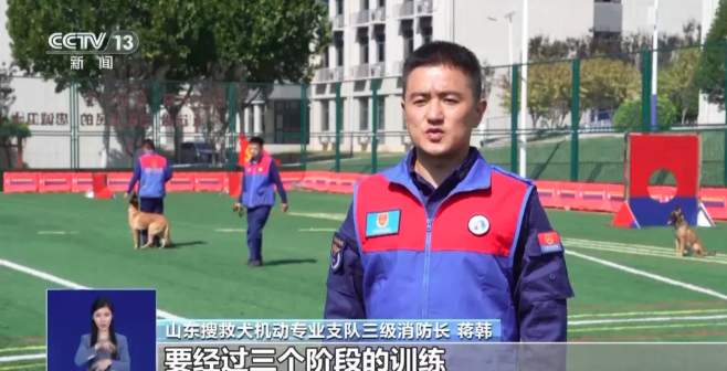 山东45只搜救犬正式入编,现场视频来了