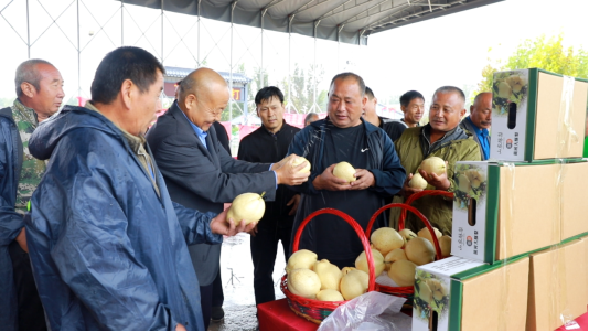 e1634626a59d4b2594b7111e760e974