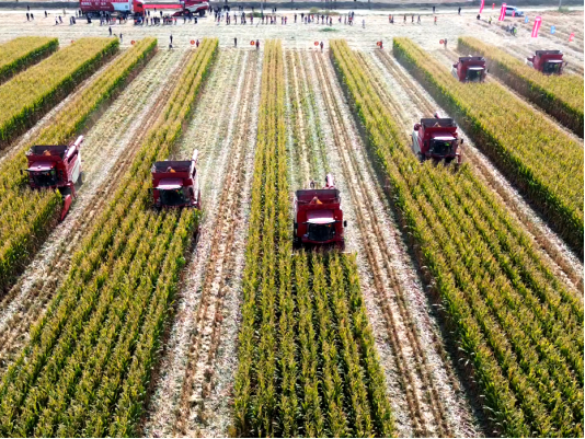 12.新疆自治区机收减损活动现场