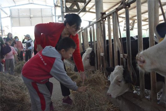 88da7af0-5035-459b-bd3e-19e67bc9fec2