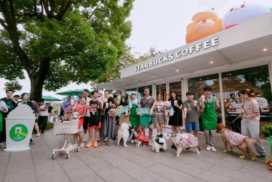 99a56876b2de699fd5349e191910833a