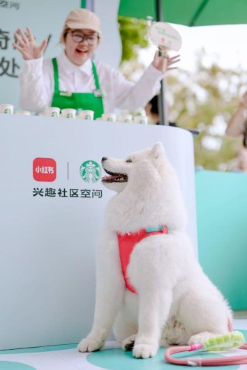 ad86f07fb0d19c2316672c592bd389d2