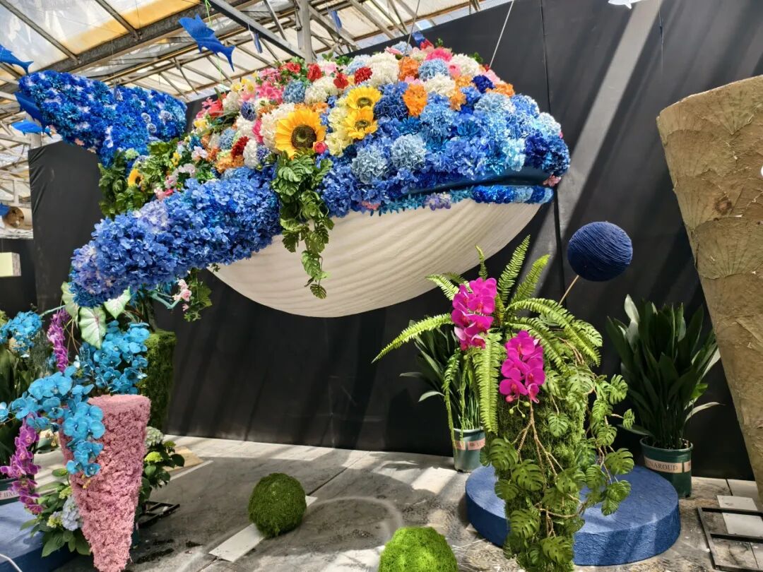 为期15天!9月28日济南商河花卉博览会正式拉开帷幕