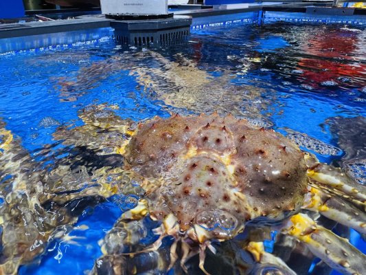 微信图片_20250930110123