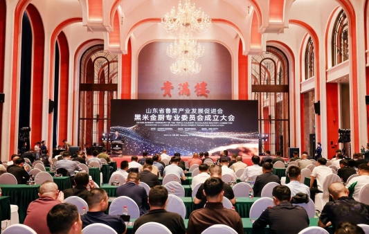 bdba314ed207ec6b91dda75c93afdc55