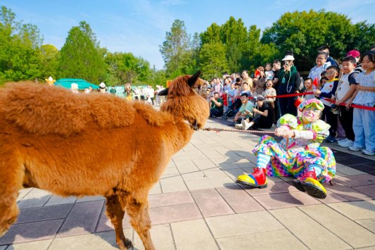 TT107233-opq4005639521