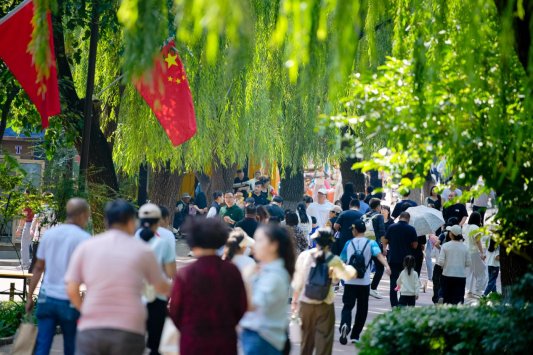 TT209675-opq4006103848