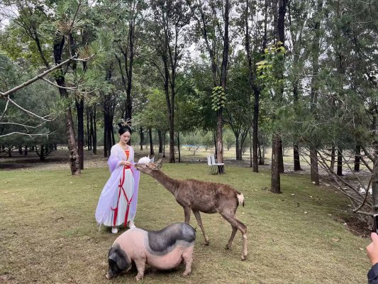 微信图片_20251001172610