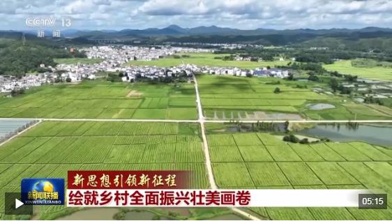 新思想引领新征程丨绘就乡村全面振兴壮美画卷