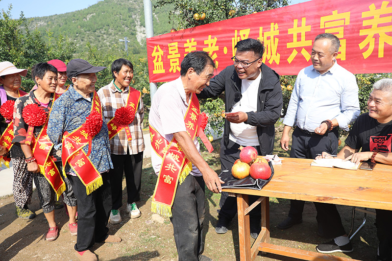 枣庄峄城:石榴盆景结出“养老金”