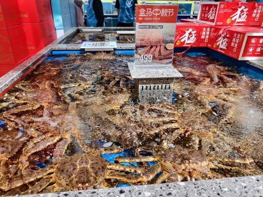 “十一”盒马帝王蟹销量增长185% 超60城释放消费潜力