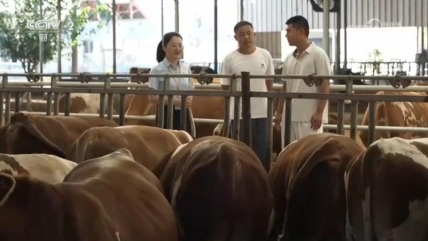 df964bd490c653808ff8fd4d89f26a86