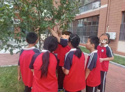 8e3d5a74562237b9a140c76fa7c03b0d