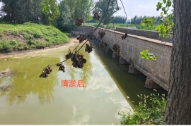 11c816904f867e25e9eb347bac02e8c