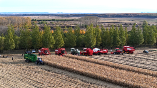 守护黑土粮仓 | 雷沃智慧农业整体解决方案智绘北大荒秋日丰景