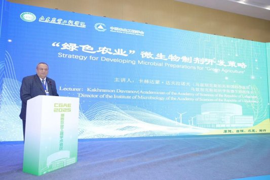 5205c3eb9ee297407991d6eadcd082b2