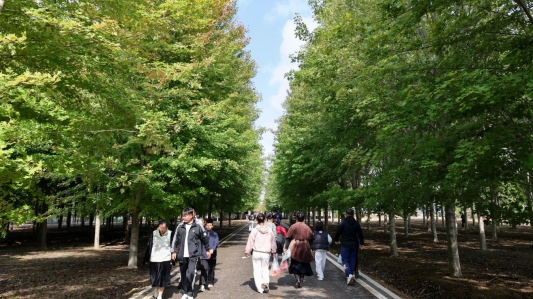 微信图片_2025-10-19_170321_583