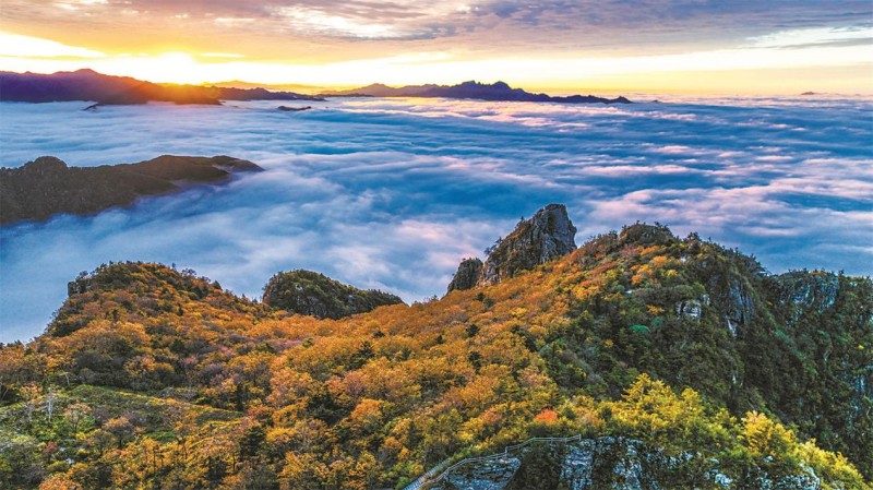 【高质量发展看陕西】生态美、产业强,绿水青山终不负 【高质量发展看陕西】生态美、产业强,绿水青山终不负