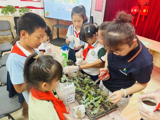 C:UsersAdministratorAppDataLocalTempHZ$D.715.3449HZ$D.715.3450鲁网照片素材“我的社区我的家”主题课题——带领孩子们认识小区内的种子、花朵和土壤(大手拉小手).jpg