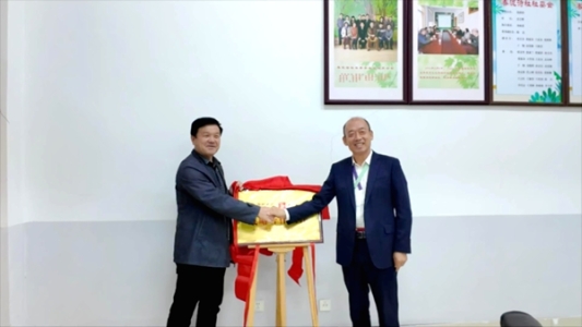 5ace71b81cd8c9567ffb50f38087ea3b