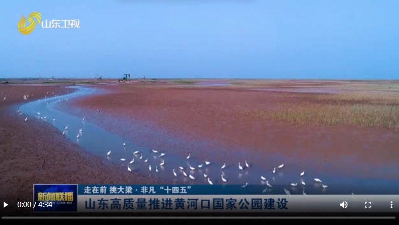 山东高质量推进黄河口国家公园建设