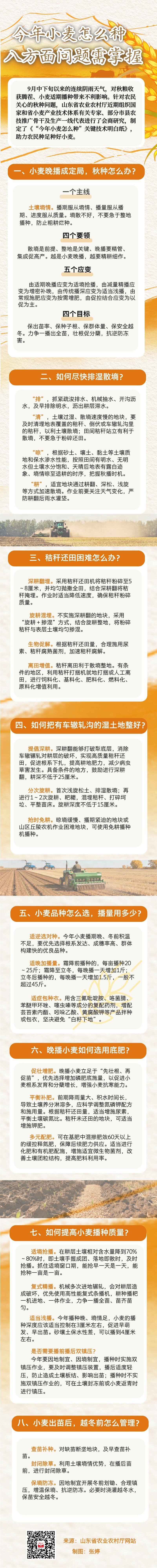 今年山东小麦怎么种?八方面问题要掌握