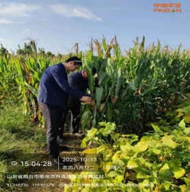 pa_10100000000163674_DD9989F3-23FC-4BDB-93D4-4C070B3CBB89_1279x1706_mo_