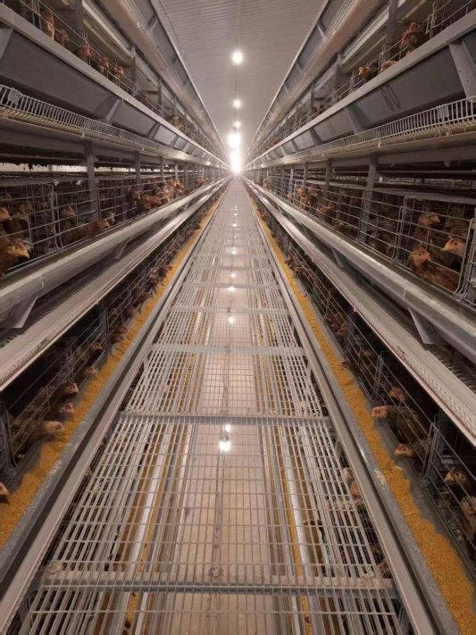 微信图片_20251022074140_417_351