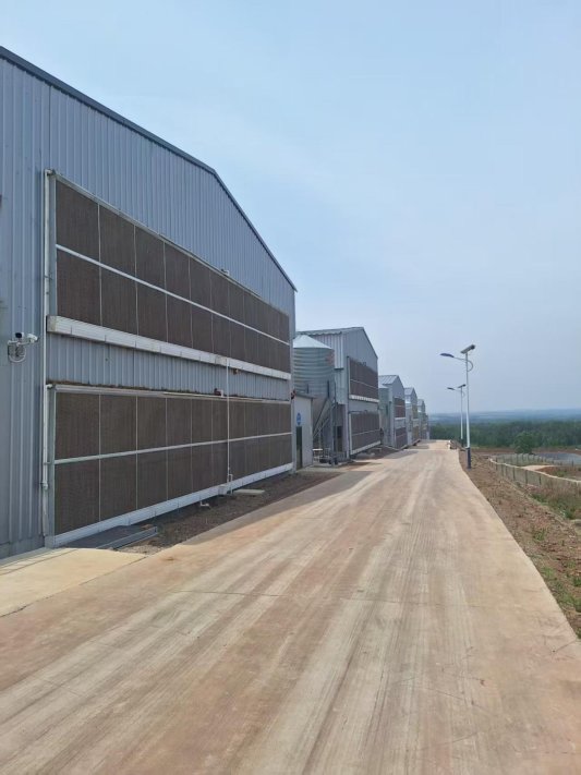 微信图片_20251022074141_418_351