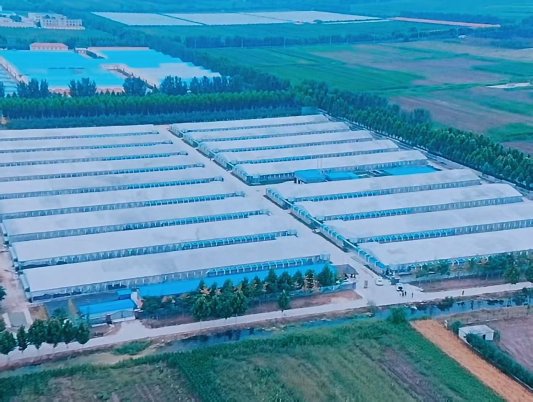 8e8d26ddff6bac67524c87ff5e8f606e