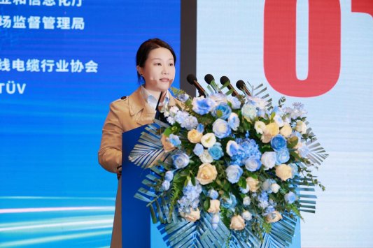 主题演讲环节2张李晶