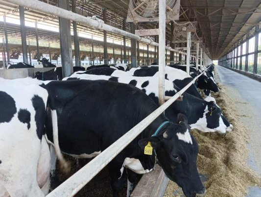 cadc473fd14405a748eeed171ac0f051