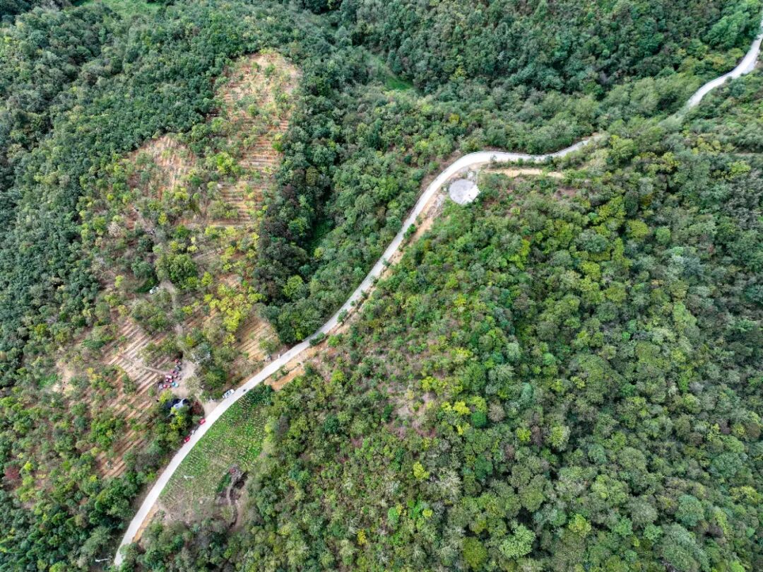 山海情缘 | 雨冲乡:东西部协作赋能青山变“金山”
