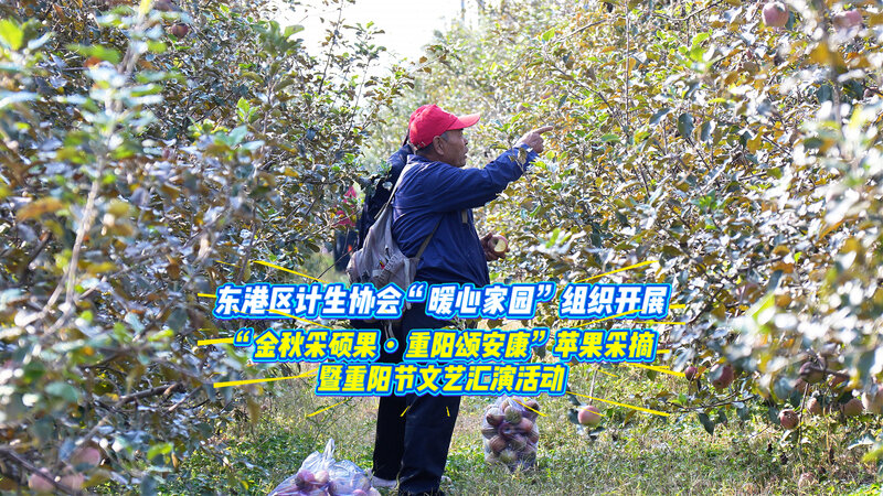 东港区计生协会“暖心家园”组织开展“金秋采硕果・重阳颂安康”苹果采摘暨重阳节文艺汇演活动